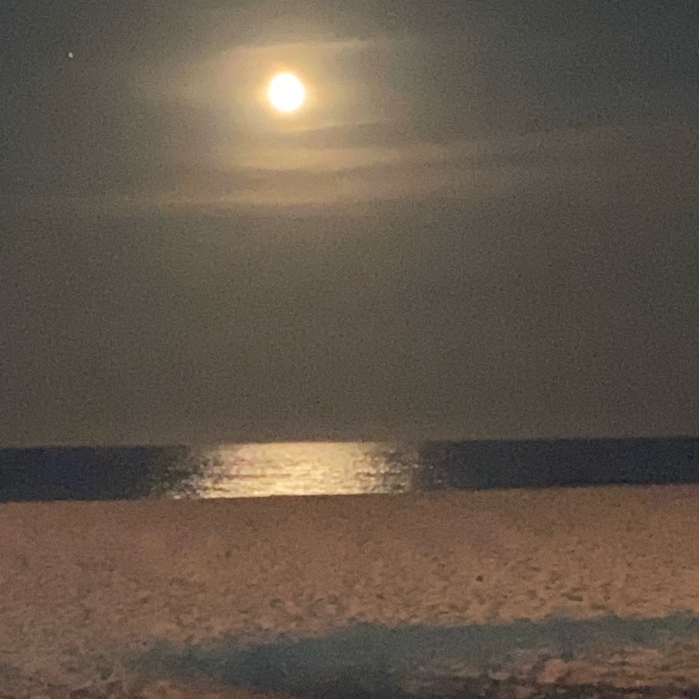 Meet your Posher, Patti